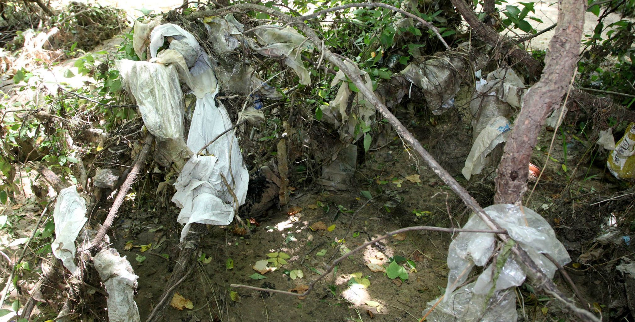 Bird Creek Garbage